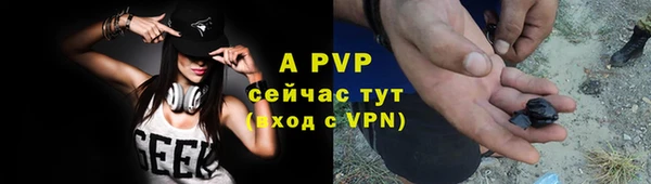 ECSTASY Новодвинск
