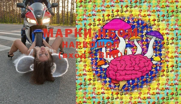 молекула духа Аша