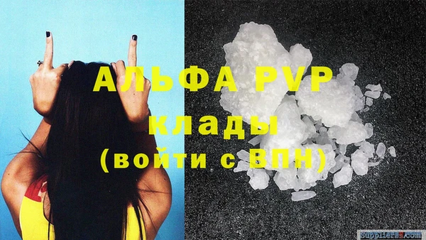 ECSTASY Новодвинск