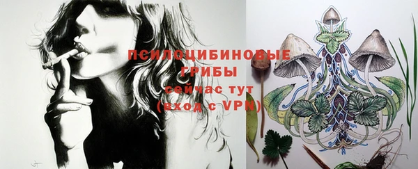 мет Новозыбков