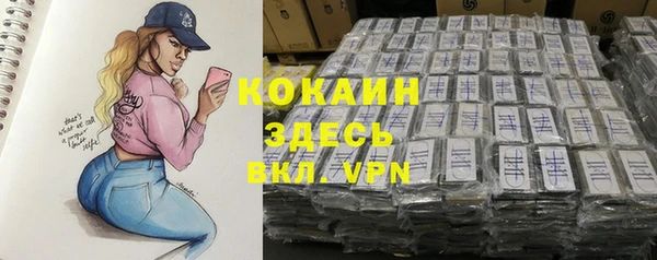 мет Новозыбков
