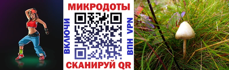blacksprut зеркало  Тимашёвск  Псилоцибиновые грибы MAGIC MUSHROOMS 